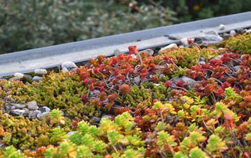 the cost of Tal Y Bont green roof installation