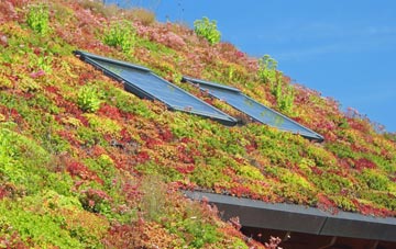 Tal Y Bont living roof systems