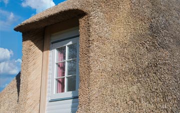 Tal Y Bont thatch roof disadvantages